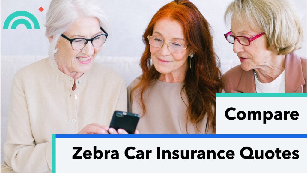 Compare Zebra Car Insurance Quotes
