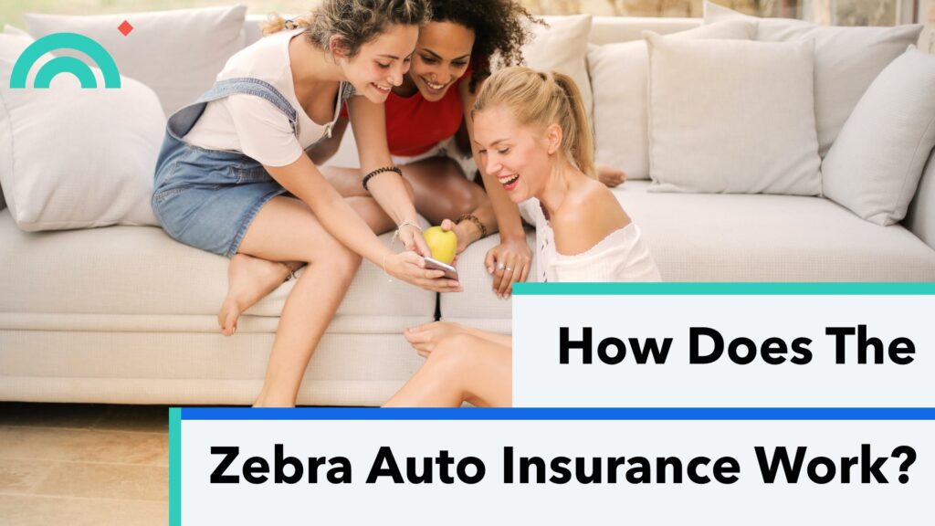 How Does The Zebra Auto Insurance Work
